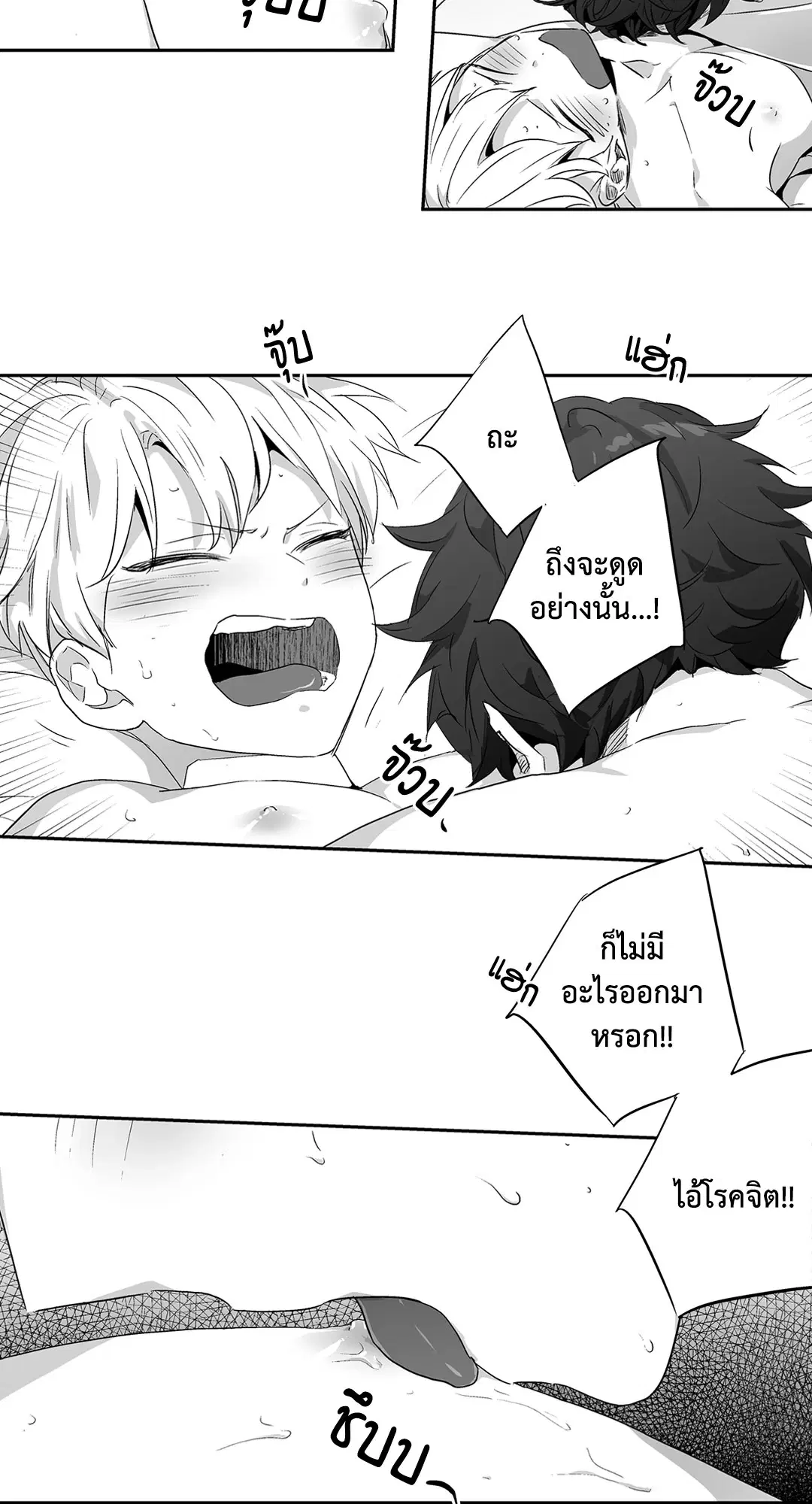 หน้า 28 จาก 53
