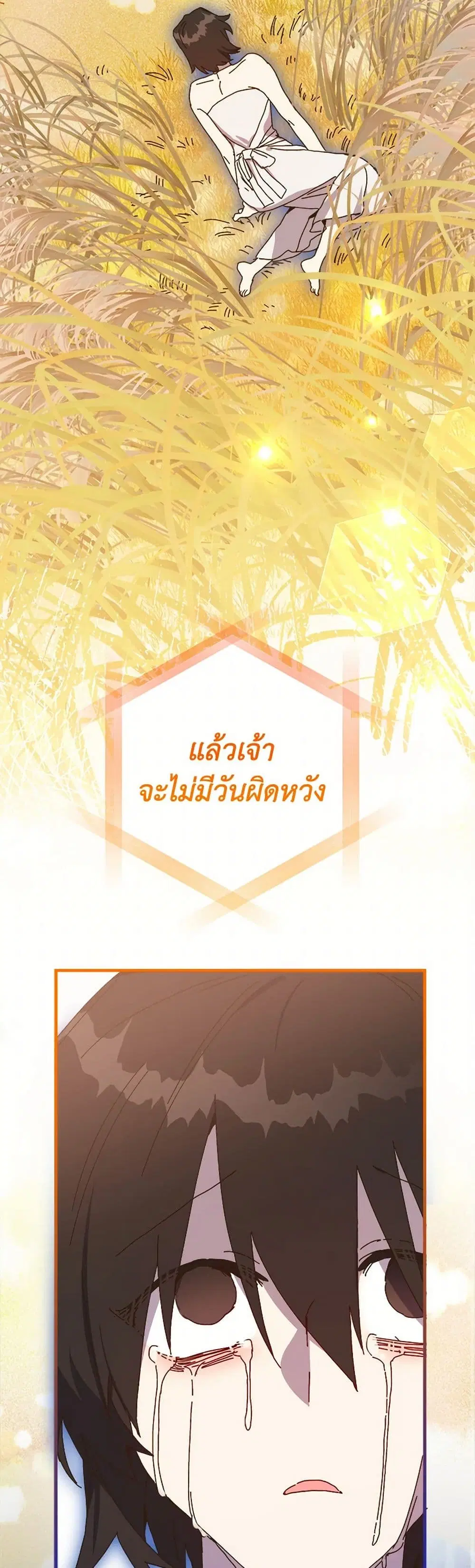 หน้า 22 จาก 40
