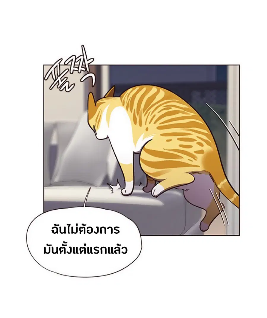หน้า 25 จาก 79