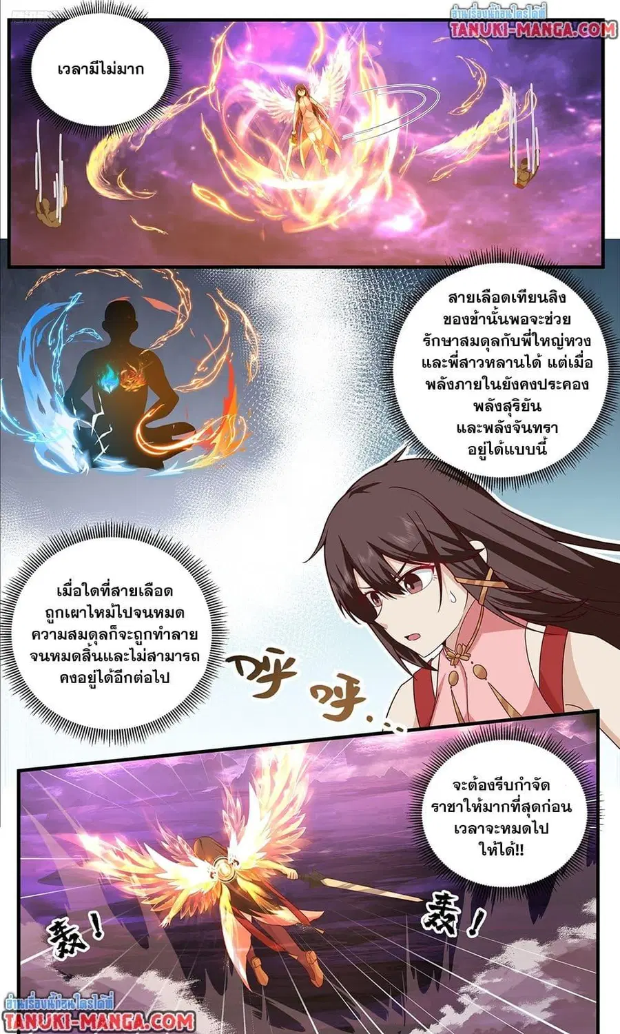 หน้า 5 จาก 12