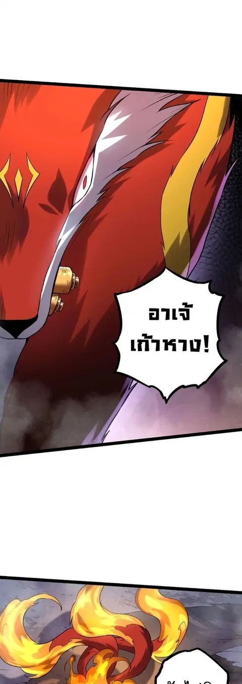 หน้า 13 จาก 42