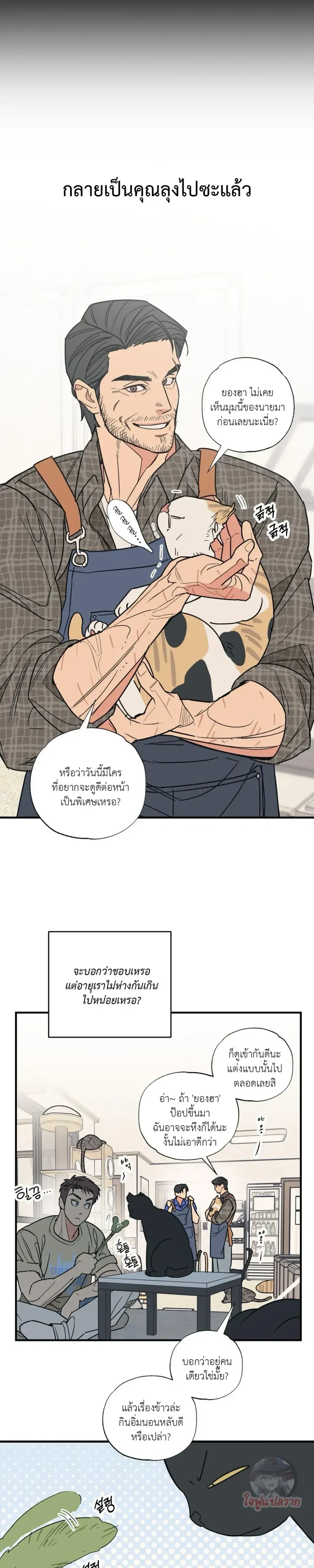 หน้า 4 จาก 19