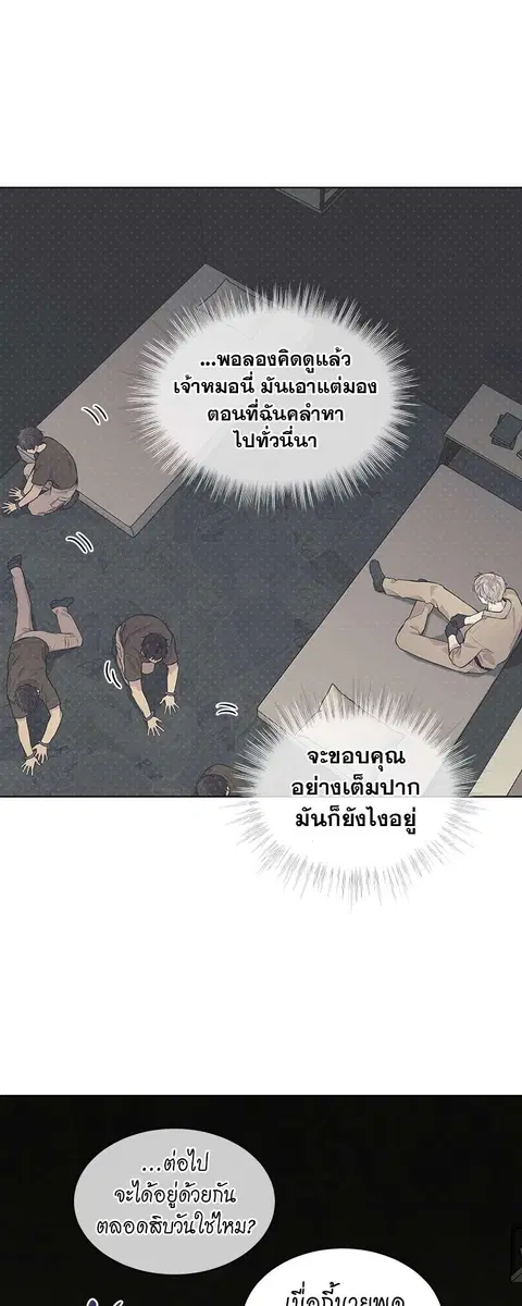 หน้า 7 จาก 52