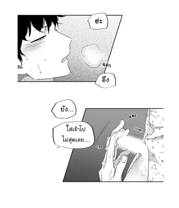 หน้า 16 จาก 41