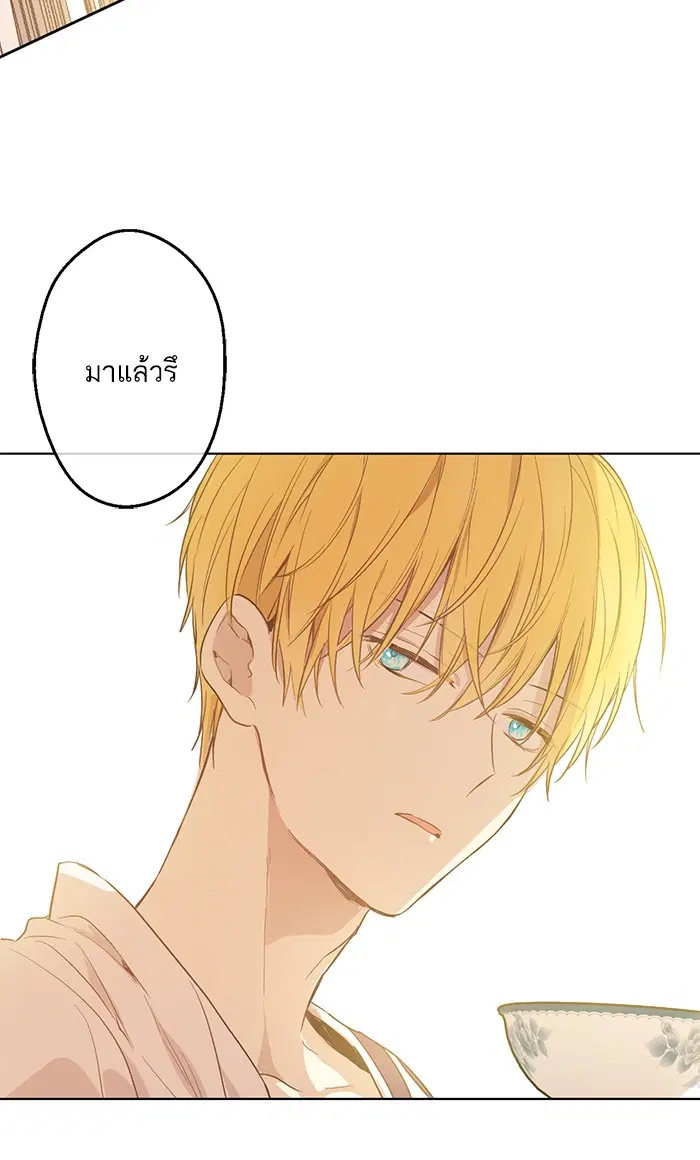 หน้า 37 จาก 91