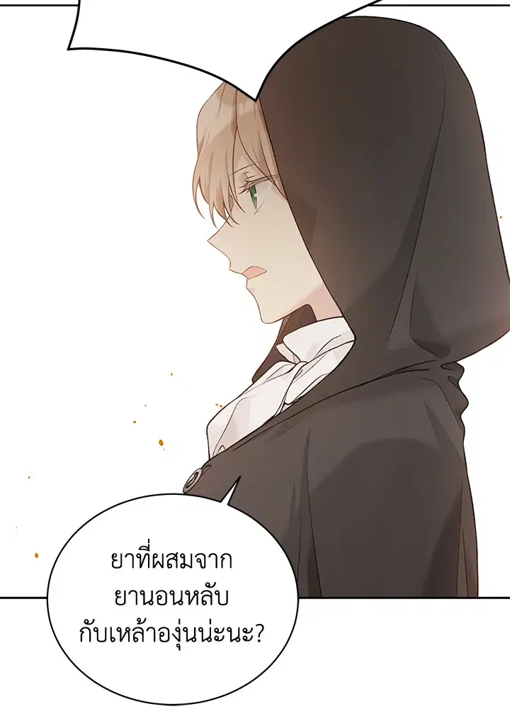 หน้า 44 จาก 117