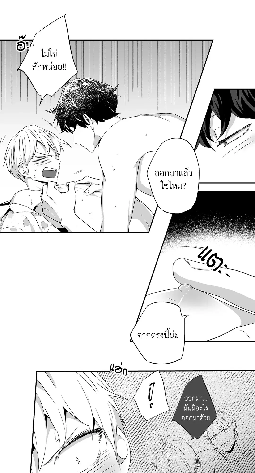 หน้า 24 จาก 53