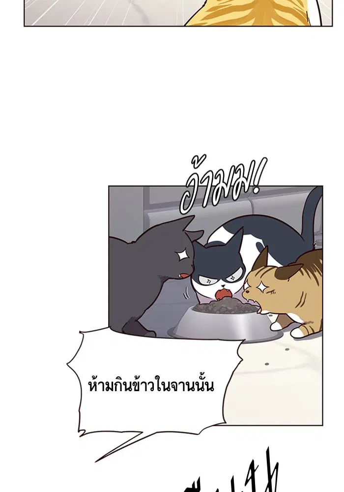 หน้า 32 จาก 109