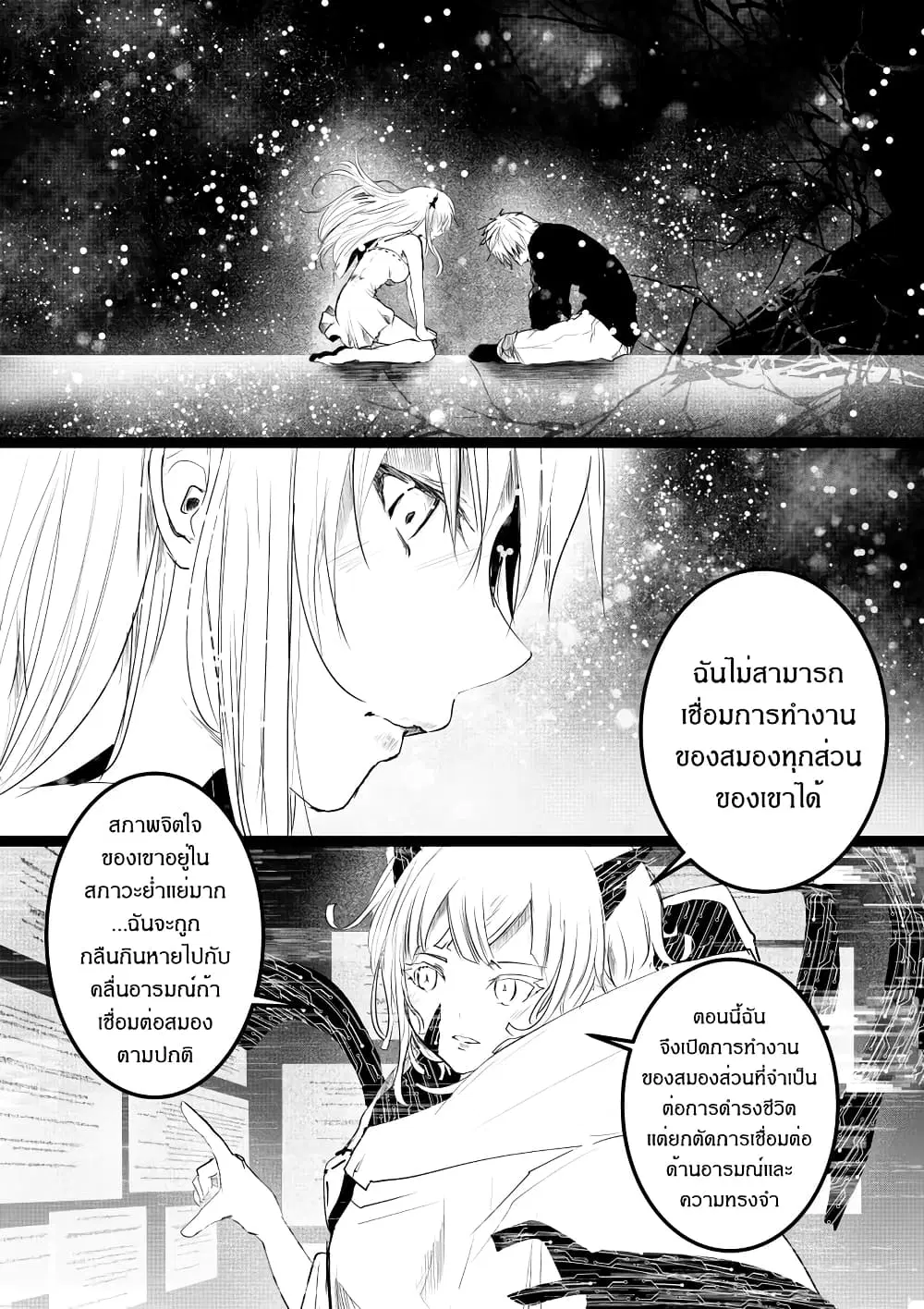 หน้า 3 จาก 24