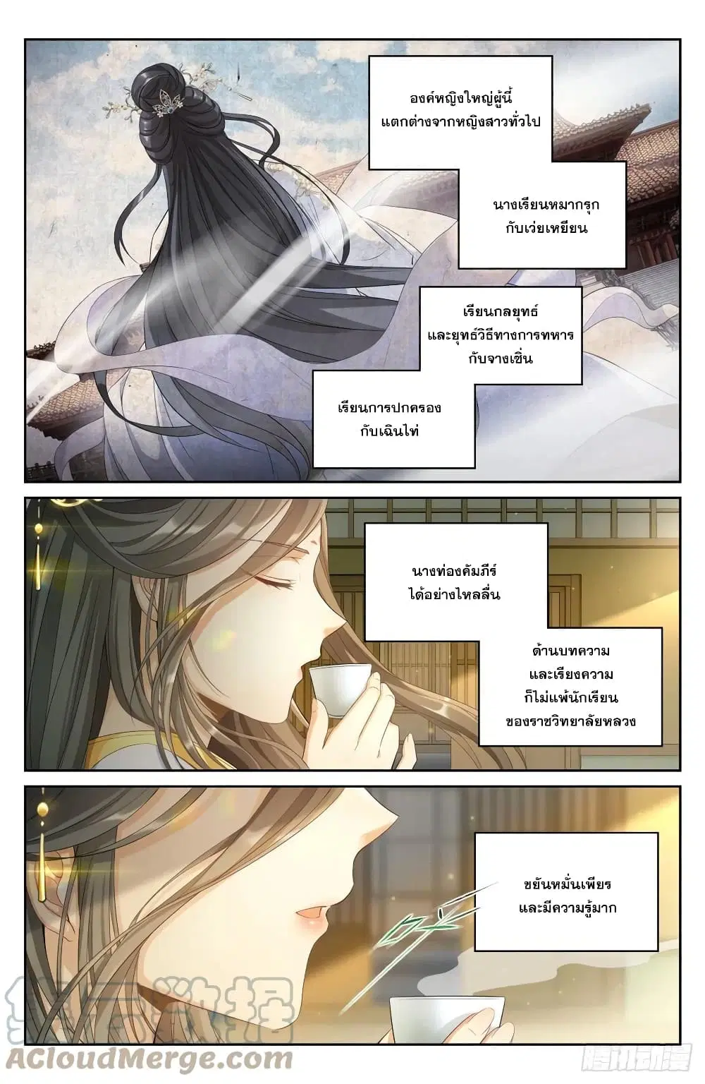 หน้า 3 จาก 17