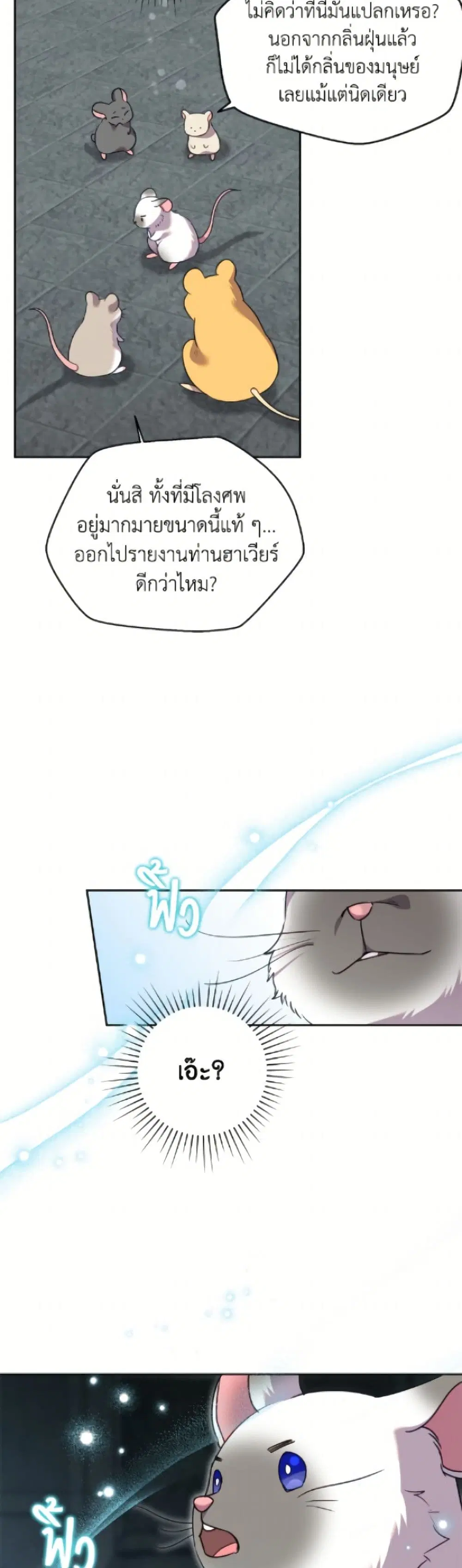 หน้า 16 จาก 52