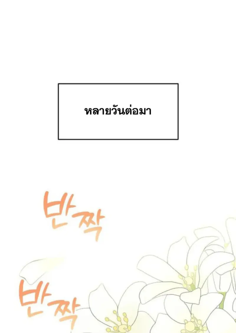 หน้า 50 จาก 145