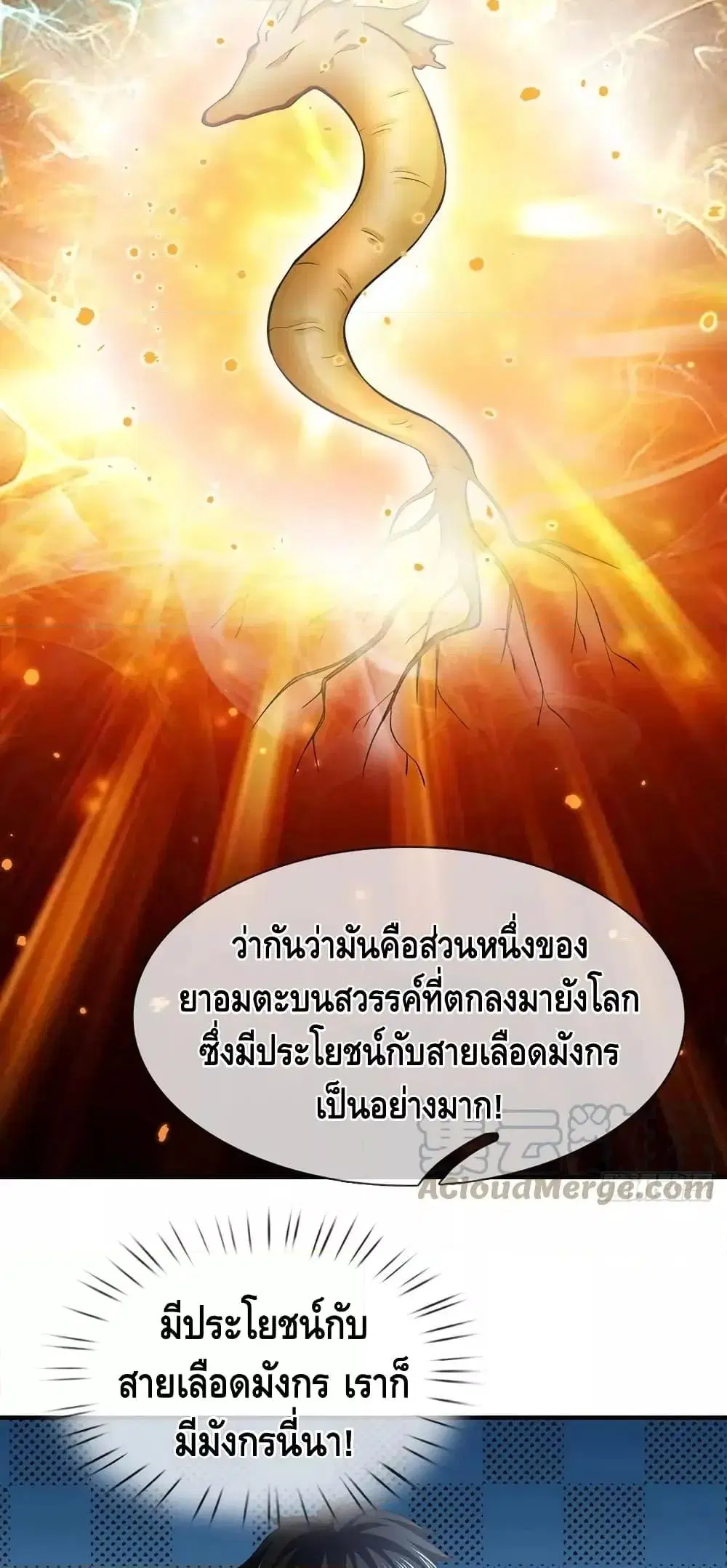 หน้า 19 จาก 42