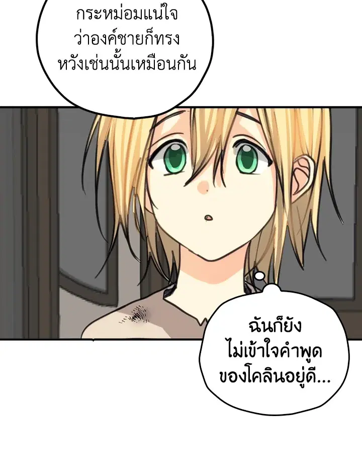 หน้า 50 จาก 66