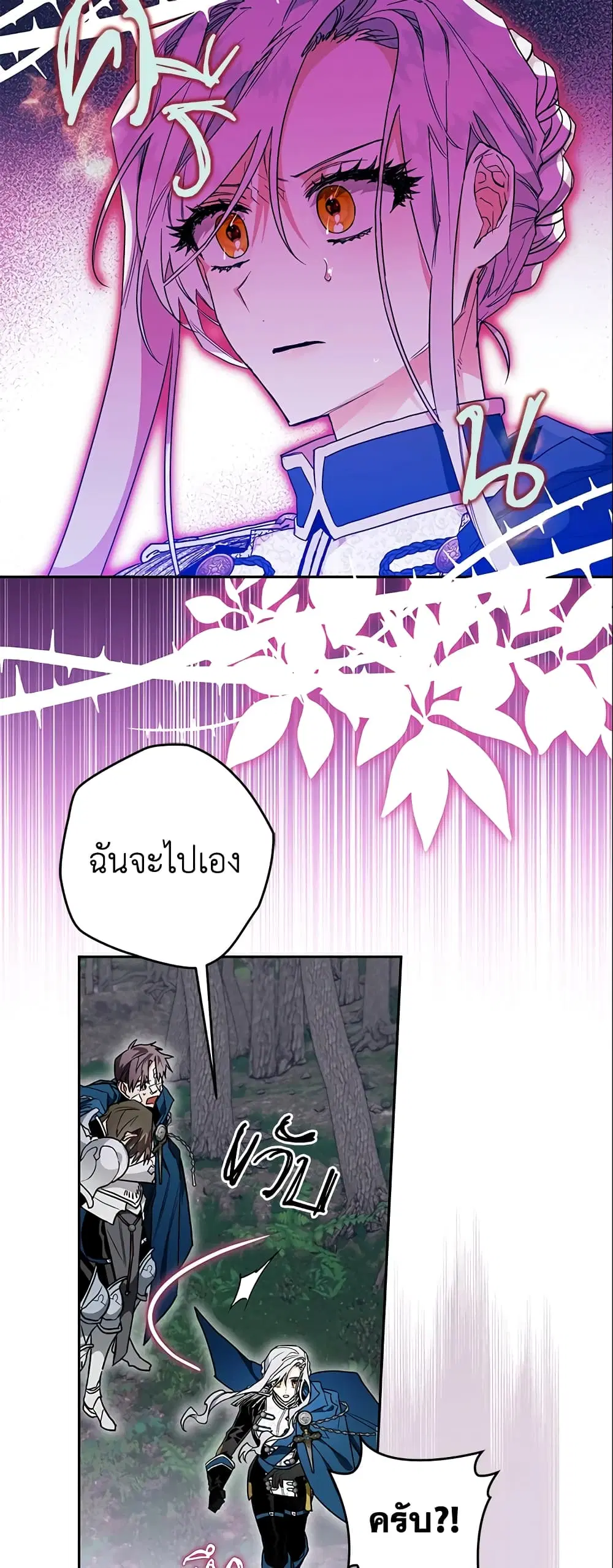หน้า 17 จาก 49