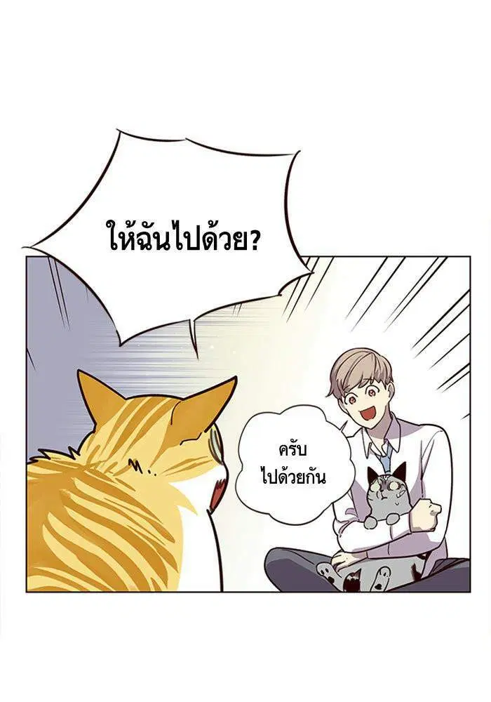 หน้า 36 จาก 81