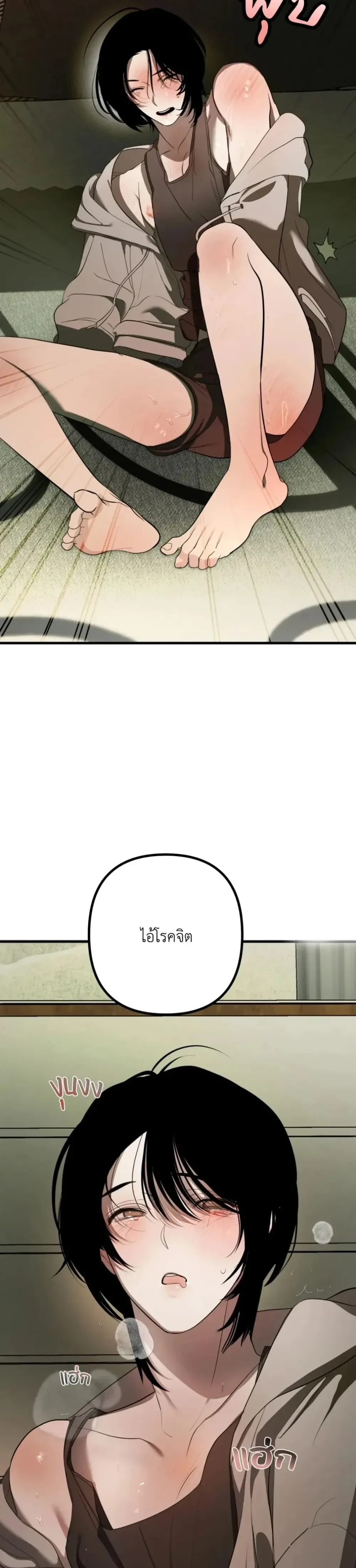หน้า 47 จาก 49