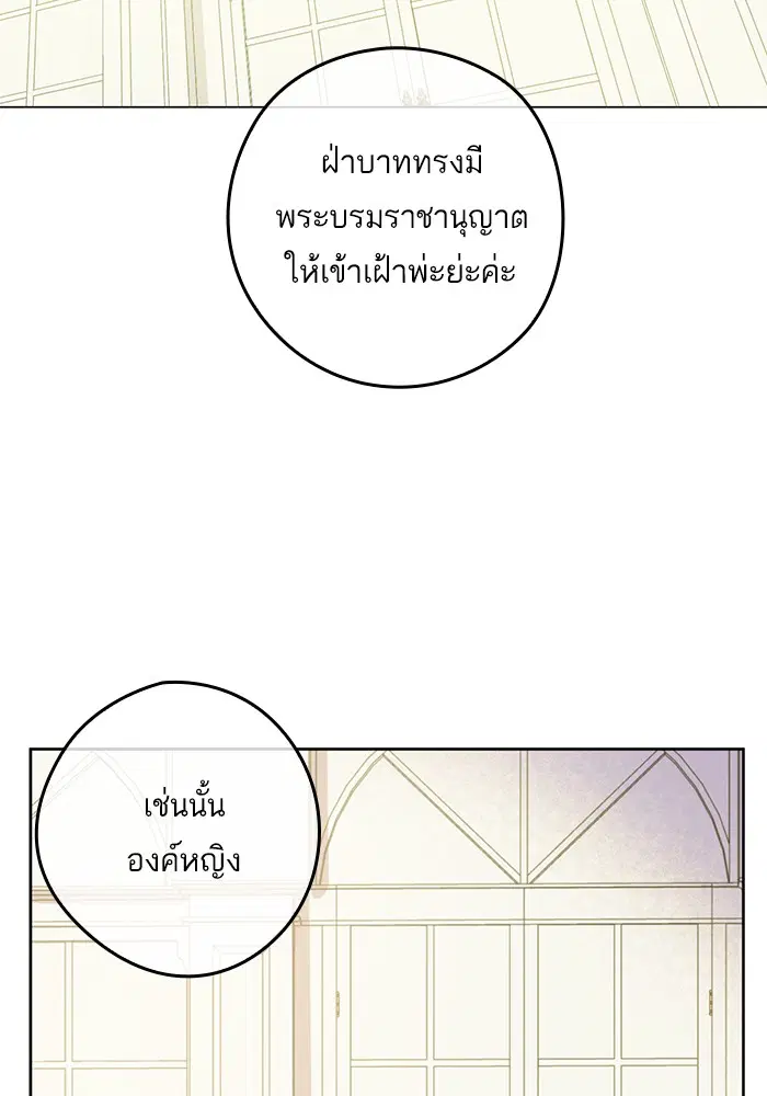 หน้า 29 จาก 88