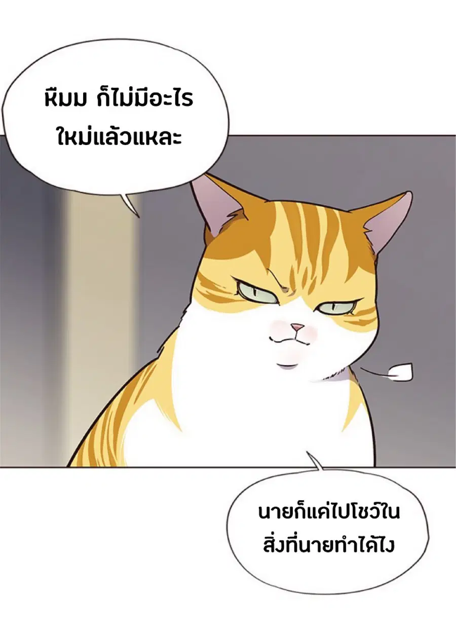 หน้า 44 จาก 81