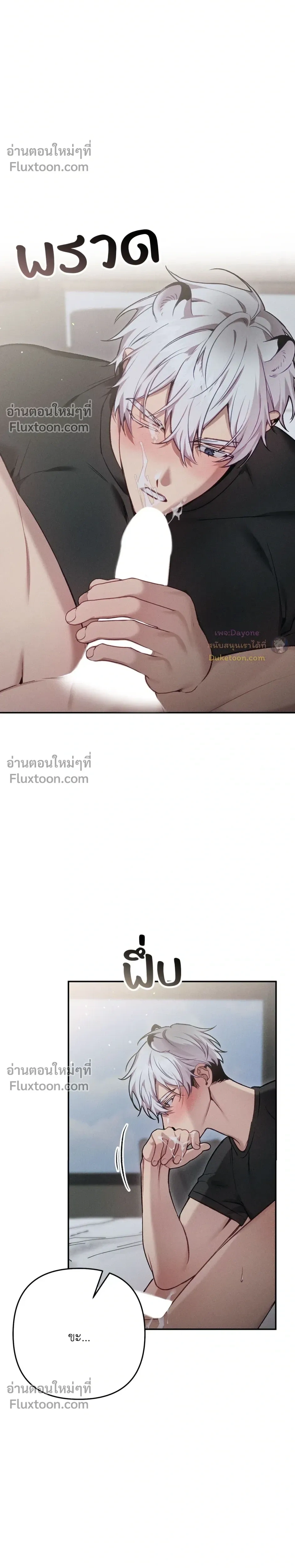 หน้า 11 จาก 26