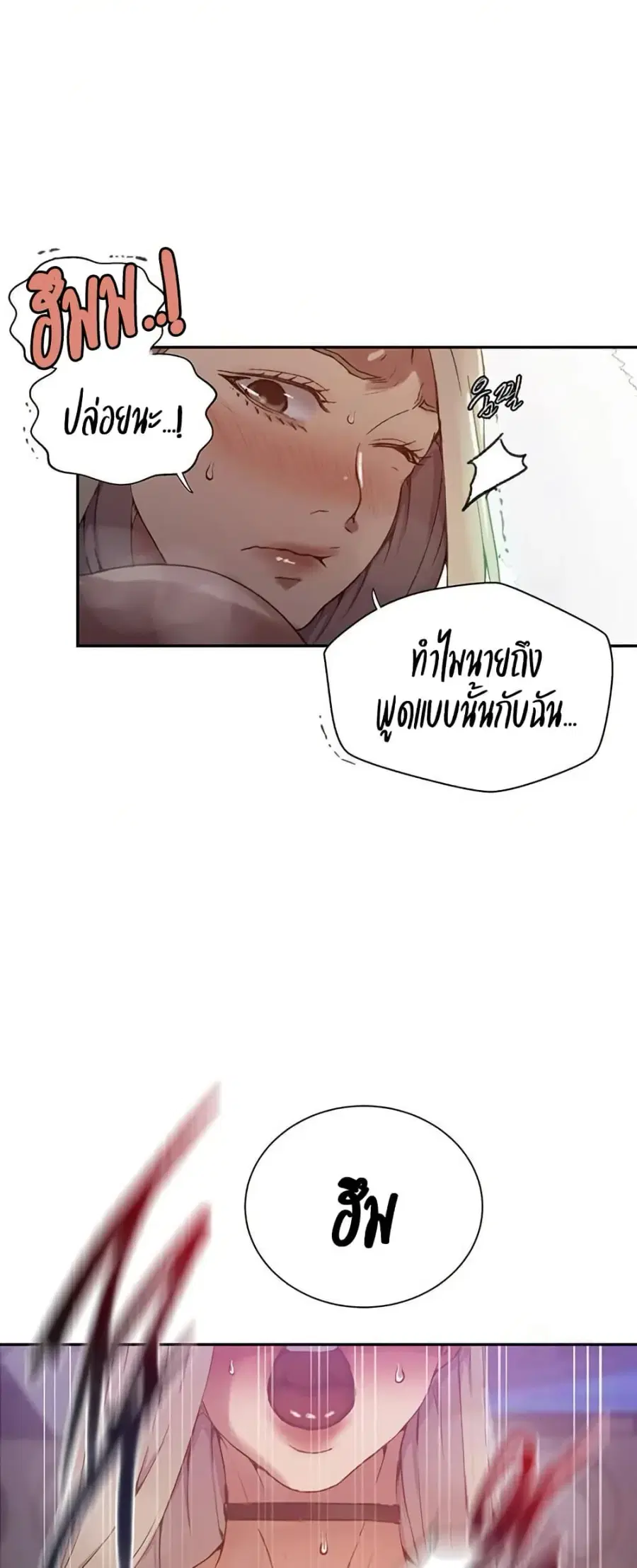 หน้า 29 จาก 50