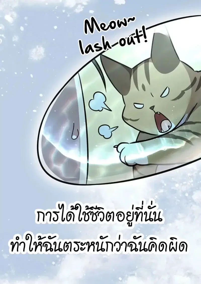 หน้า 113 จาก 163