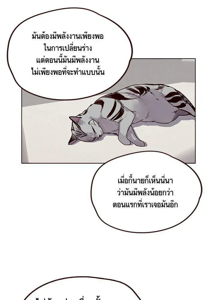 หน้า 41 จาก 85