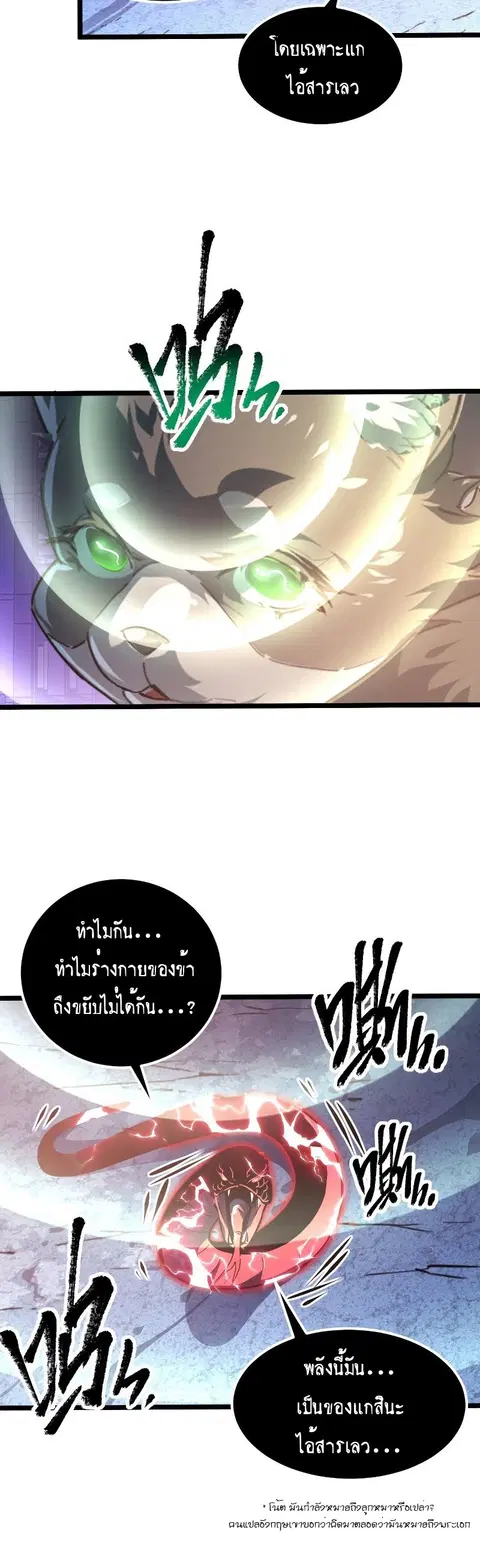 หน้า 3 จาก 24