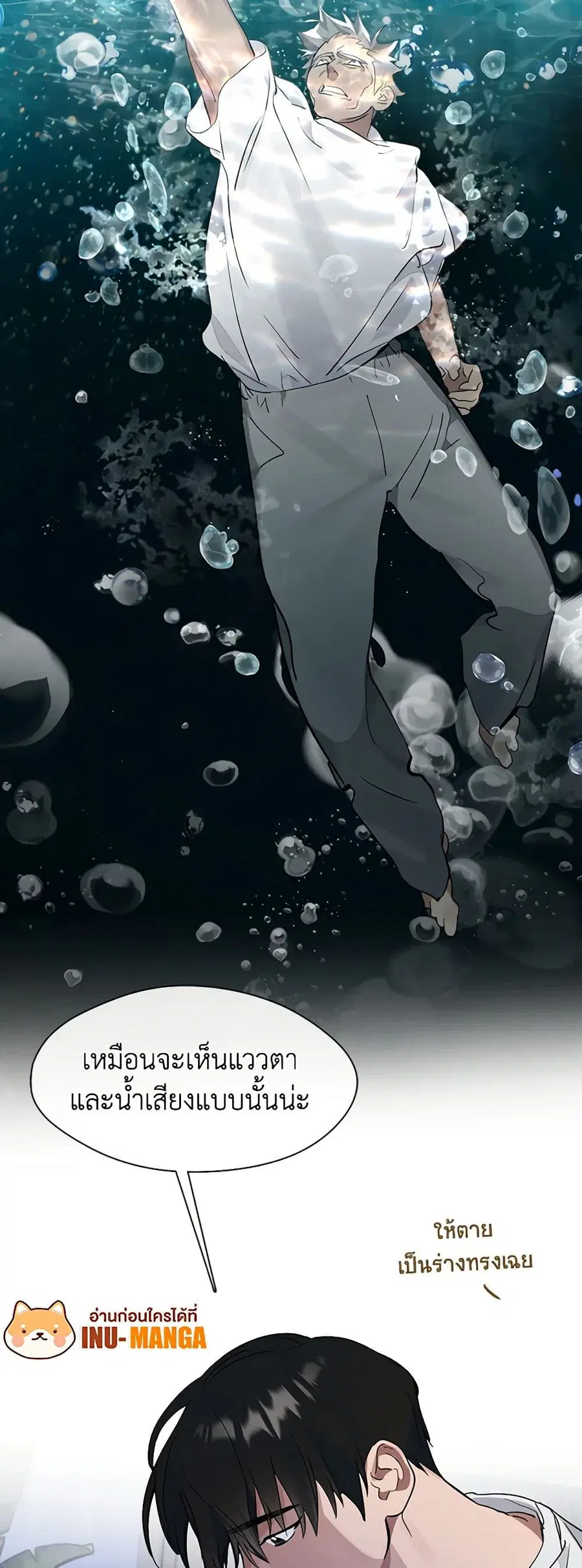 หน้า 48 จาก 52