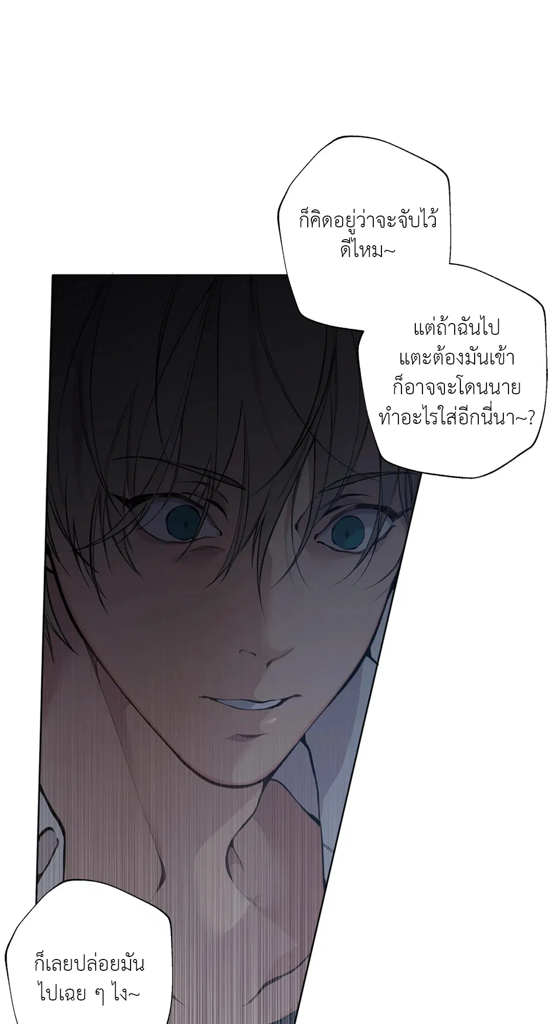 หน้า 26 จาก 82