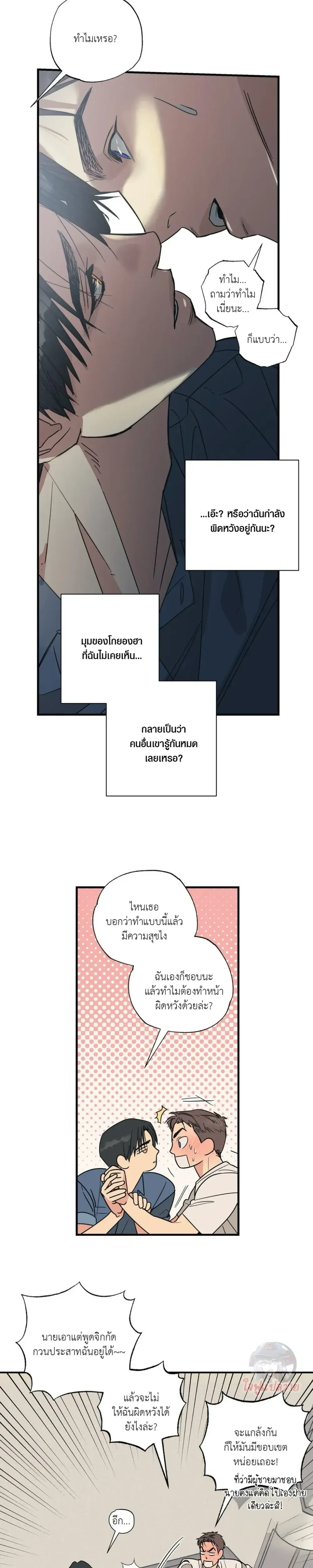 หน้า 17 จาก 19