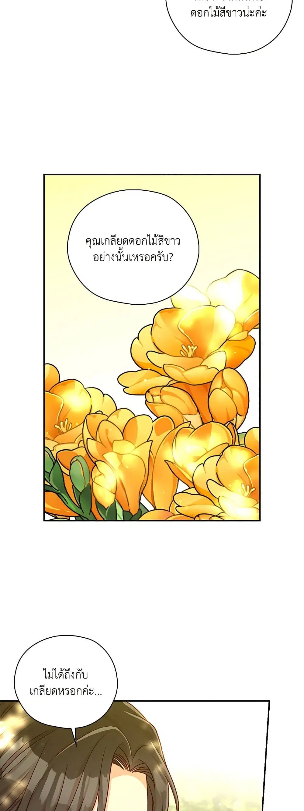 หน้า 25 จาก 42