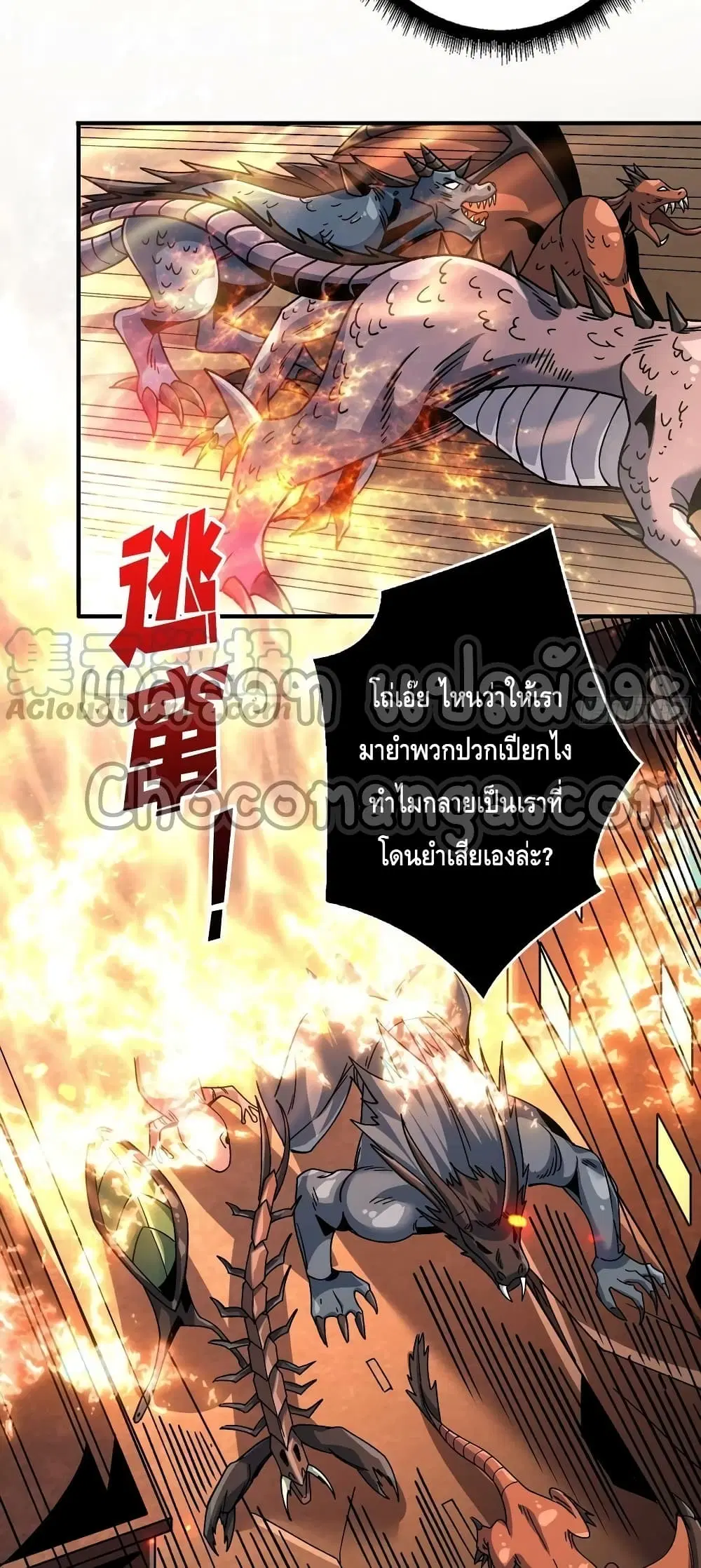 หน้า 6 จาก 42
