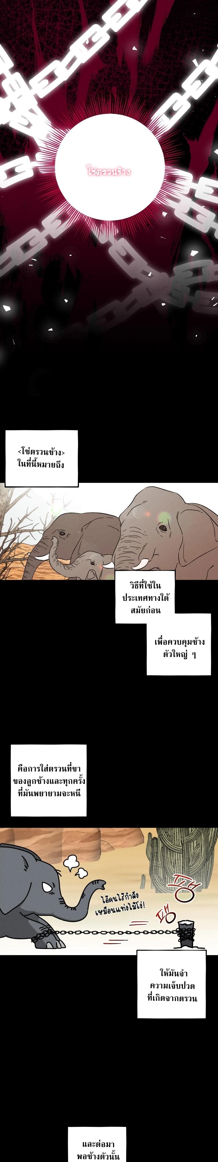 หน้า 9 จาก 17