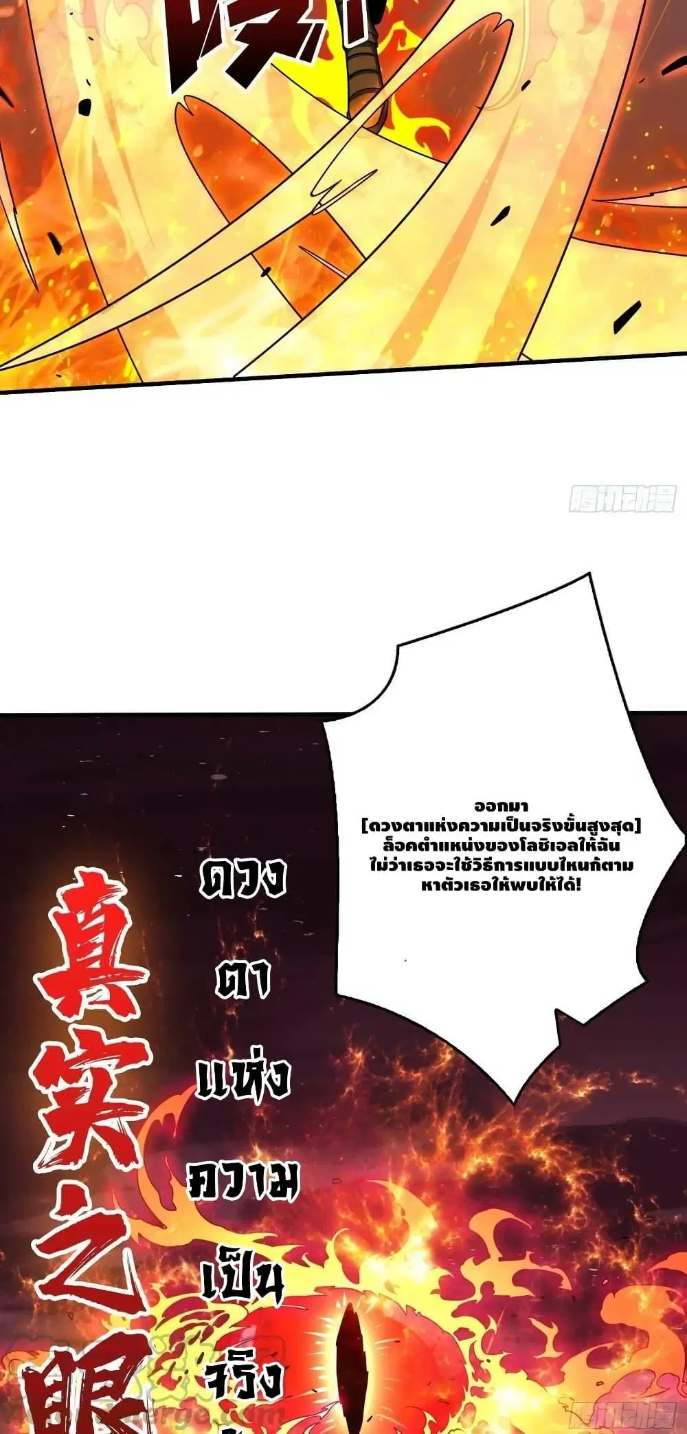 หน้า 24 จาก 42