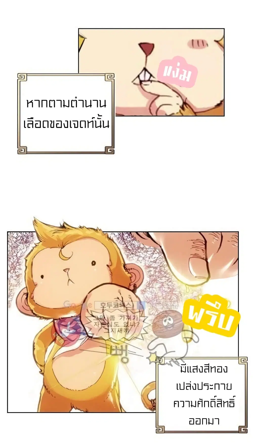 หน้า 20 จาก 41