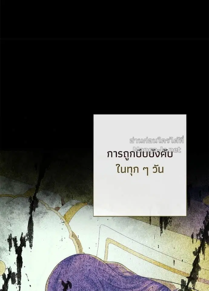 หน้า 42 จาก 139
