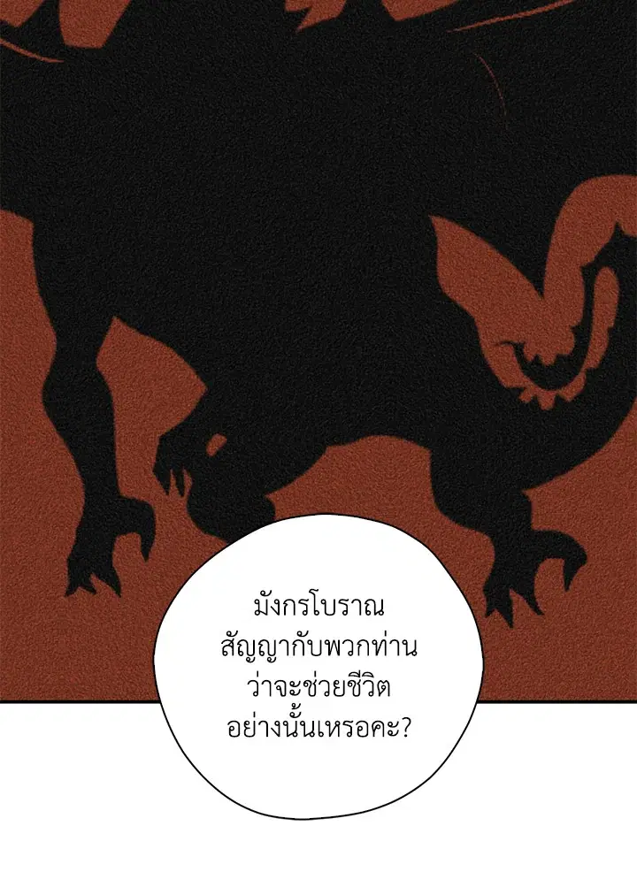 หน้า 49 จาก 102
