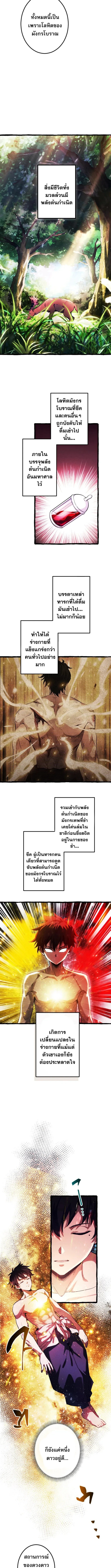 หน้า 4 จาก 14