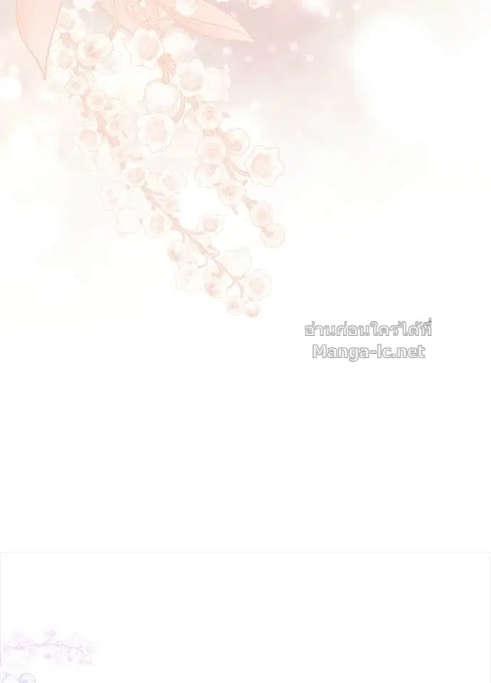 หน้า 31 จาก 116