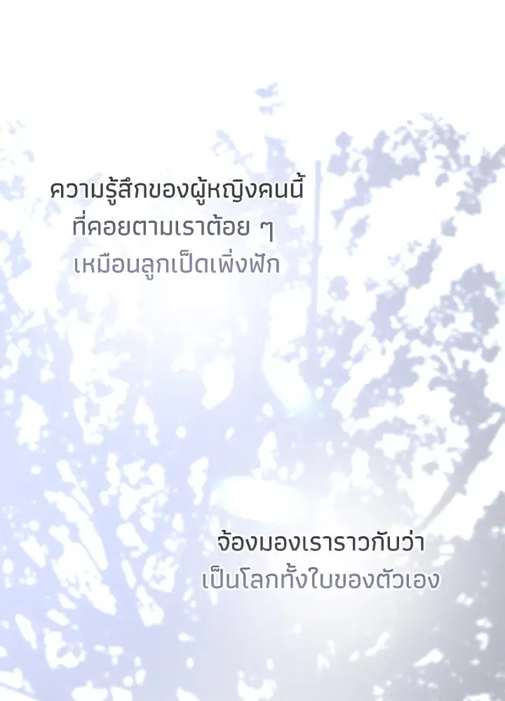 หน้า 139 จาก 169