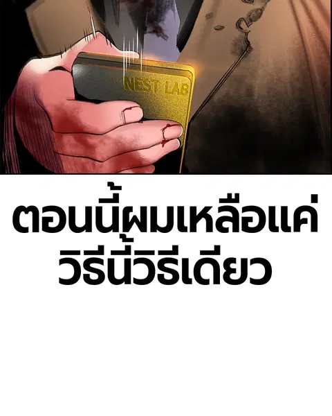 หน้า 38 จาก 139