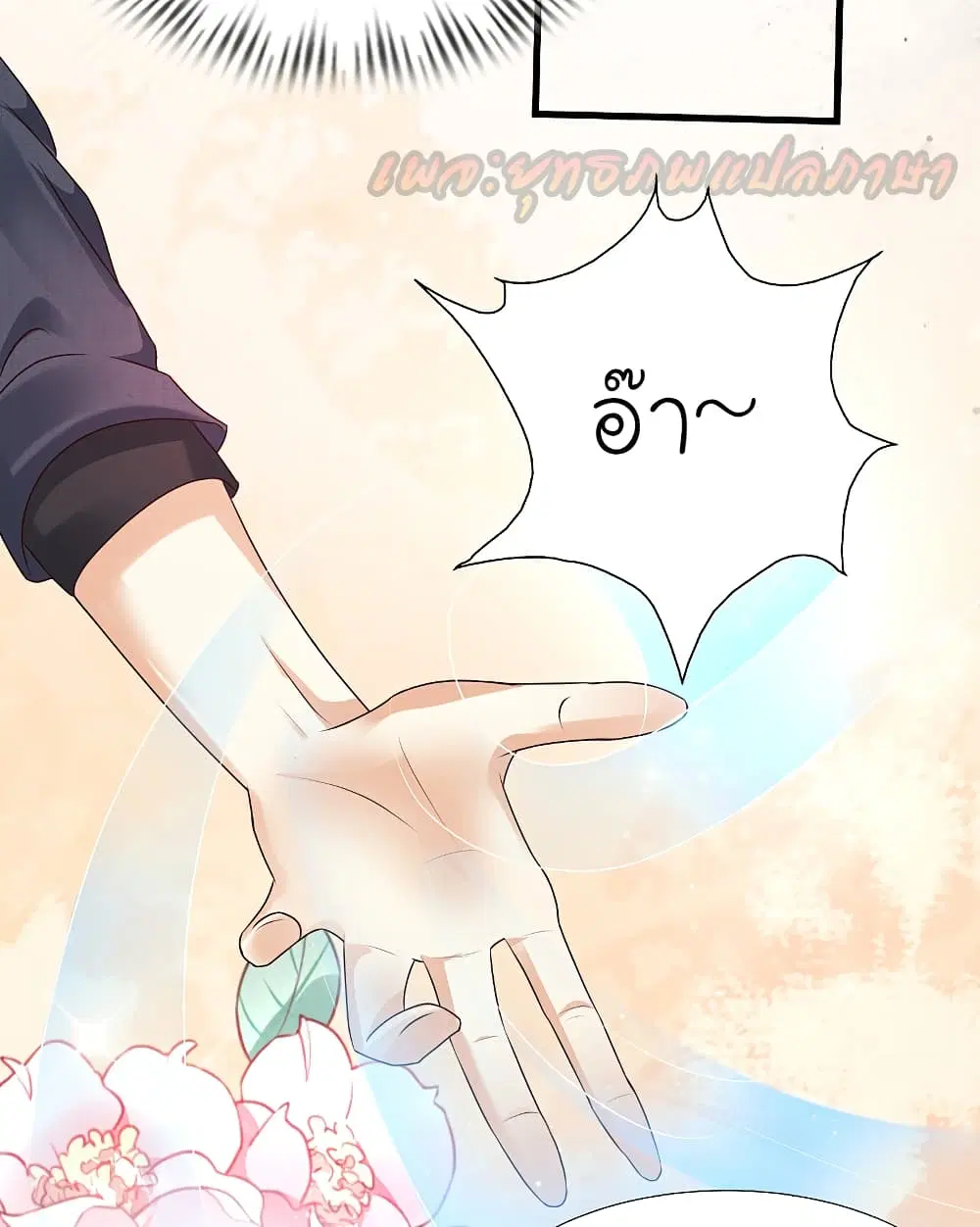 หน้า 26 จาก 47