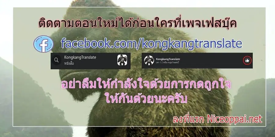 หน้า 17 จาก 17