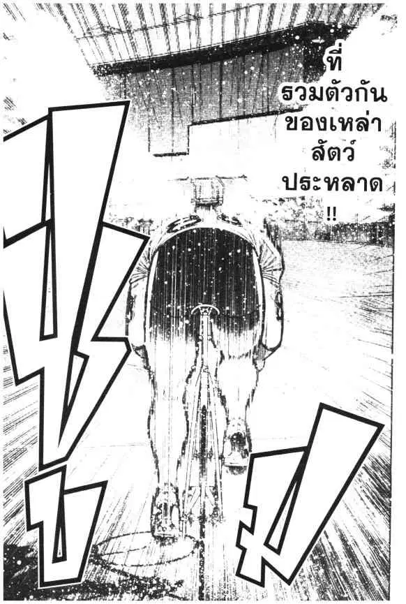 หน้า 18 จาก 24
