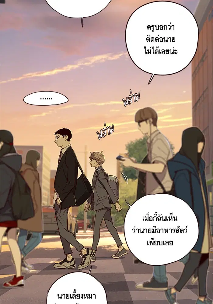 หน้า 85 จาก 109