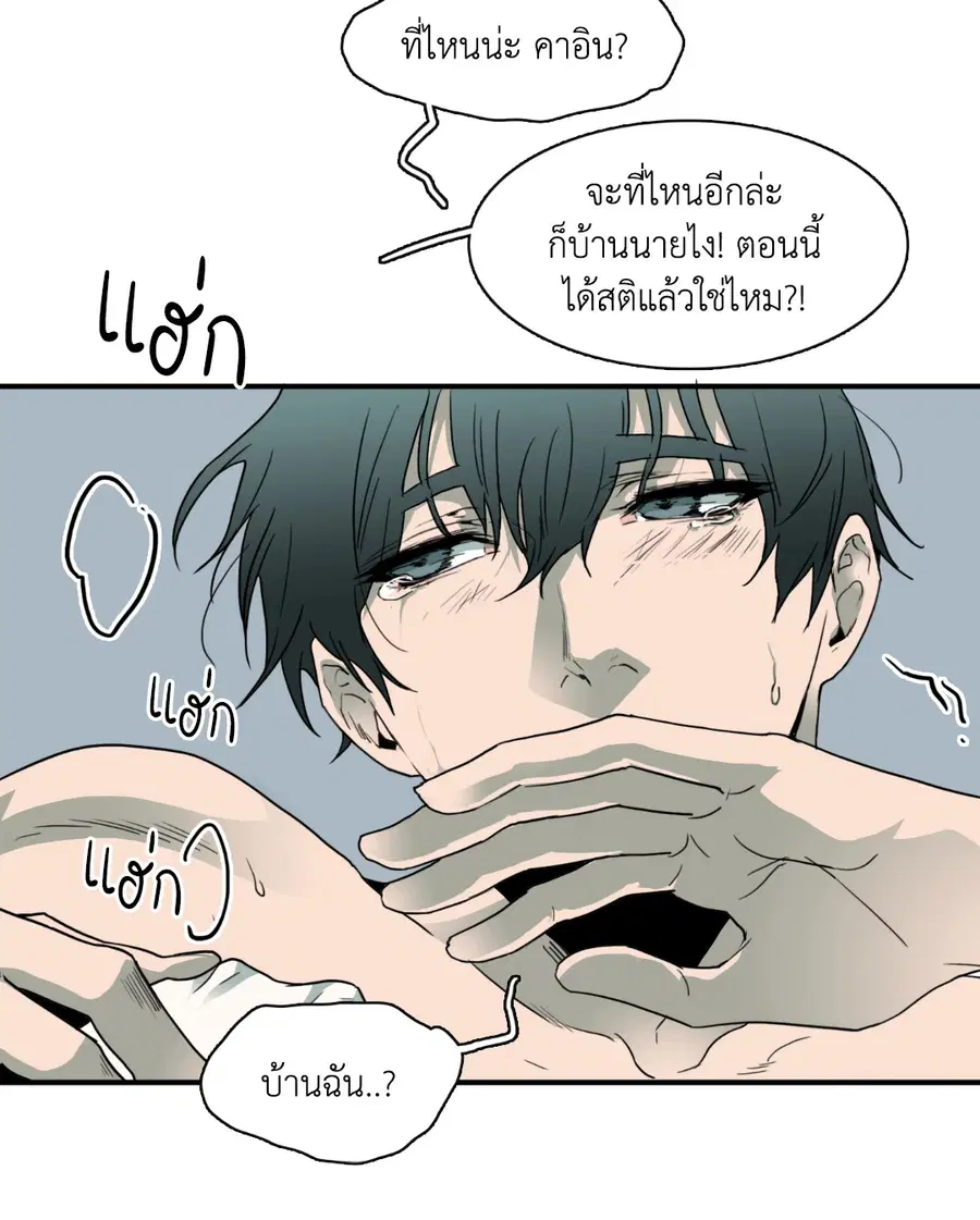 หน้า 10 จาก 42