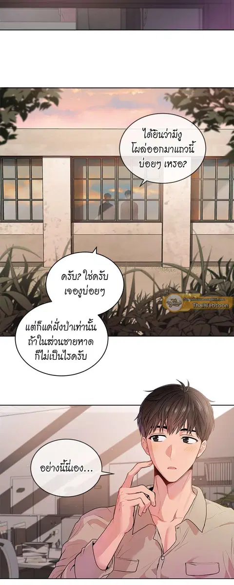 หน้า 31 จาก 33