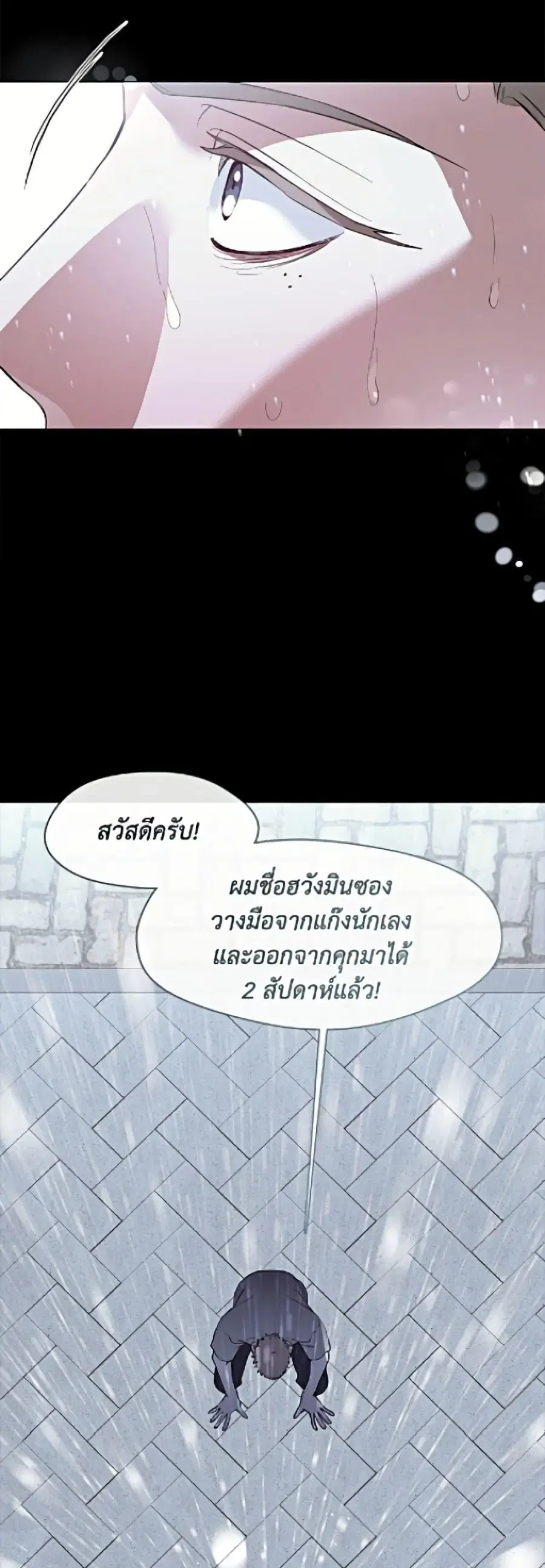 หน้า 48 จาก 52