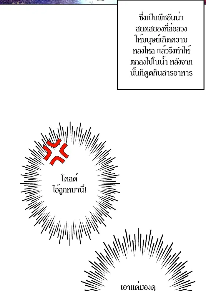 หน้า 30 จาก 82
